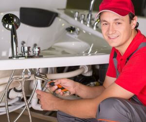 About Emergency plumbing pros Paris, MI